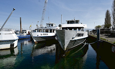 Wie viele Schiffe werden 2026 noch auf dem Neuenburger und Murtensee verkehren? Die Mitarbeitenden der LNM sind besorgt und fühlen sich von der Leitung wenig beruhigt.